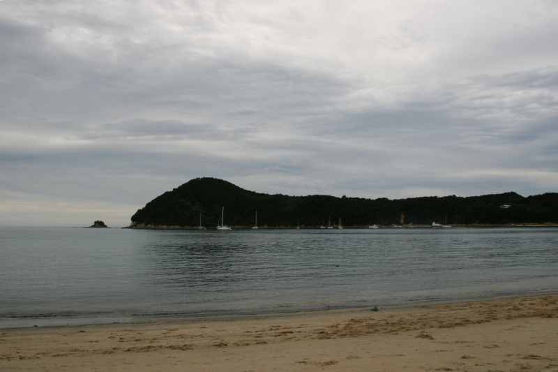 Nieuw-Zeeland 2011 - 1056